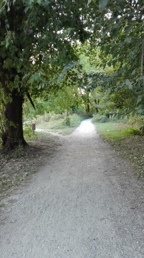 Apartmán Vittadinisette Pavia Exteriér fotografie